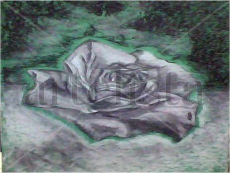 Florecer