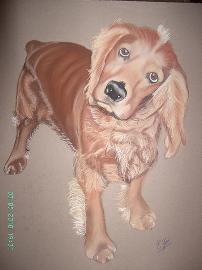 cocker Pastel Paper Animals