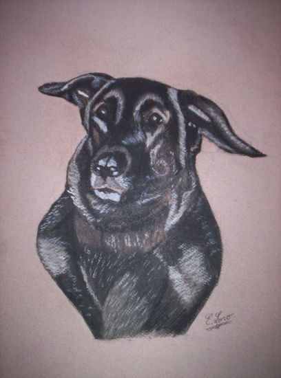 perro Pastel Papel Animales