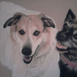 animales thumbnail 2