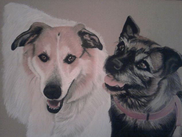 perros Pastel Papel Animales