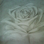 flores thumbnail 2