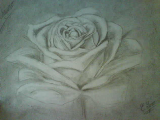 amor Pencil (Black) Paper Floral Painting