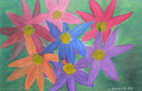 Jardín de colores