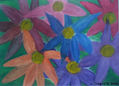 Jardín de colores