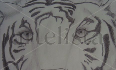 dibujos