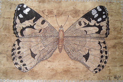 Mariposa Nocturna