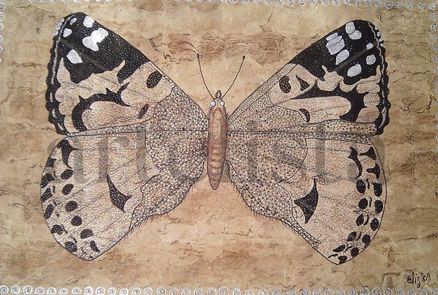 Mariposa Nocturna