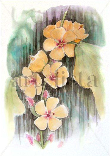 YUYOS, malva blanca Watercolour Paper Floral Painting