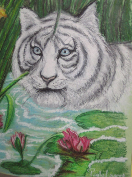 Tigre blanco