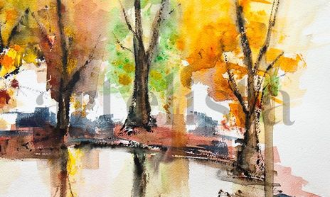 Paisajes