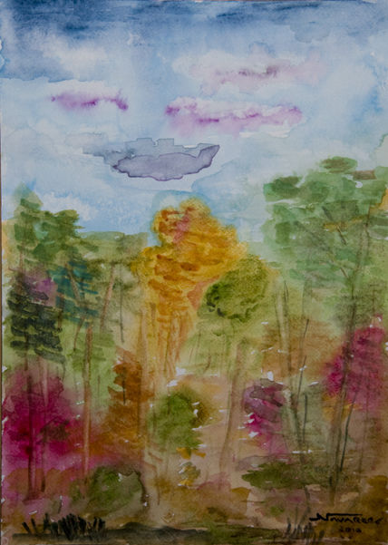 "Selva"