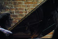 0029SI Jazz