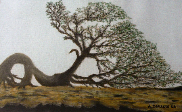 La eterna reverencia: Sabina de El Hierro Pastel Papel Paisaje