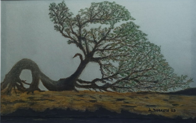 La eterna reverencia: Sabina de El Hierro Pastel Paper Landscaping