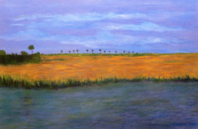 Atardecer en los pantanos de Florida Pastel Papel Paisaje