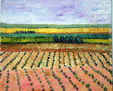 la mancha