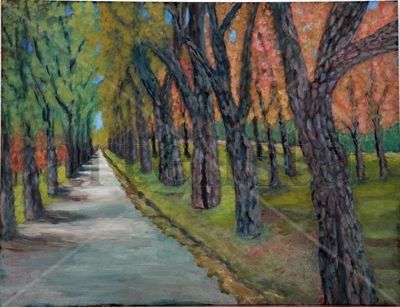 pinos en el camino