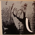 Animales thumbnail 1