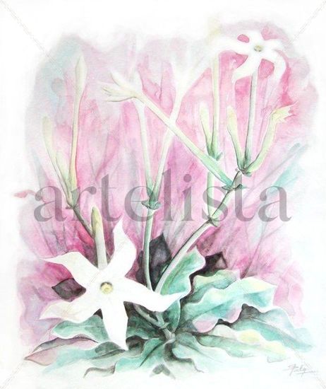 YUYOS, flor de sapo Watercolour Paper Floral Painting