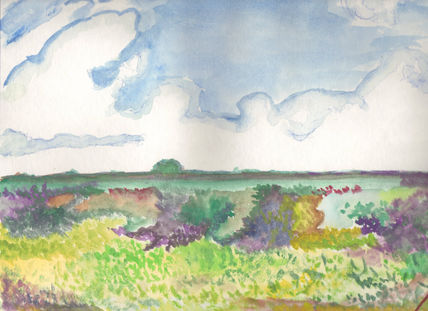 Pintura campestre