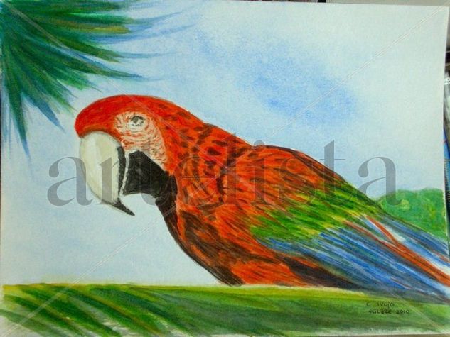 LORO Watercolour Card Animals