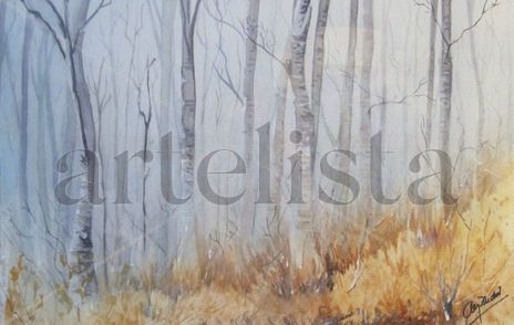 Bosque animado