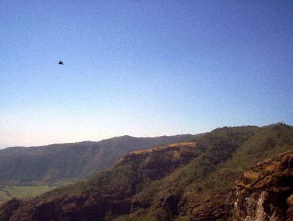Vuelo libre