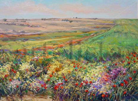 Tierras con amapolas