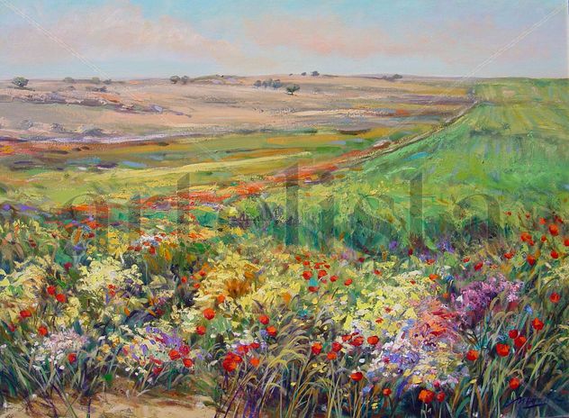 tierras con amapolas