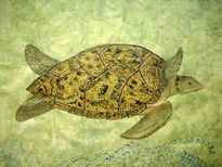 Tortuga de Carey