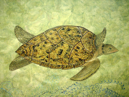 Tortuga de Carey