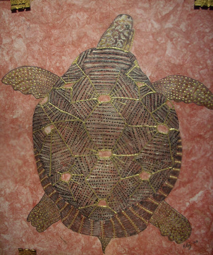 Tortuga  Radiada de...
