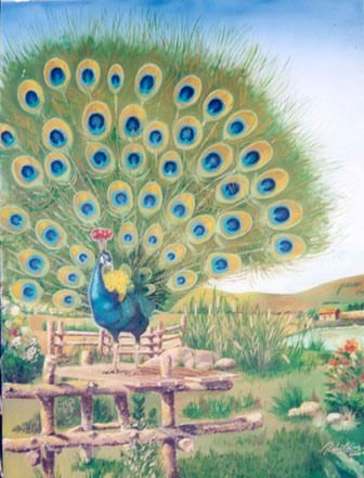 Pavo Real