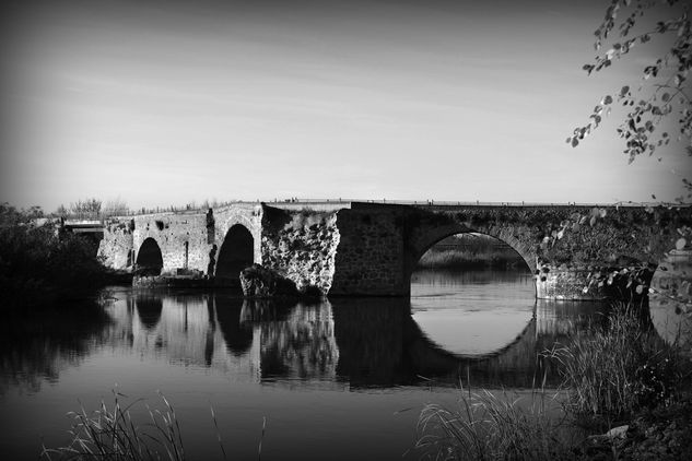 rio tajo sobre puente romano Arquitectura e interiorismo Blanco y Negro (Digital)