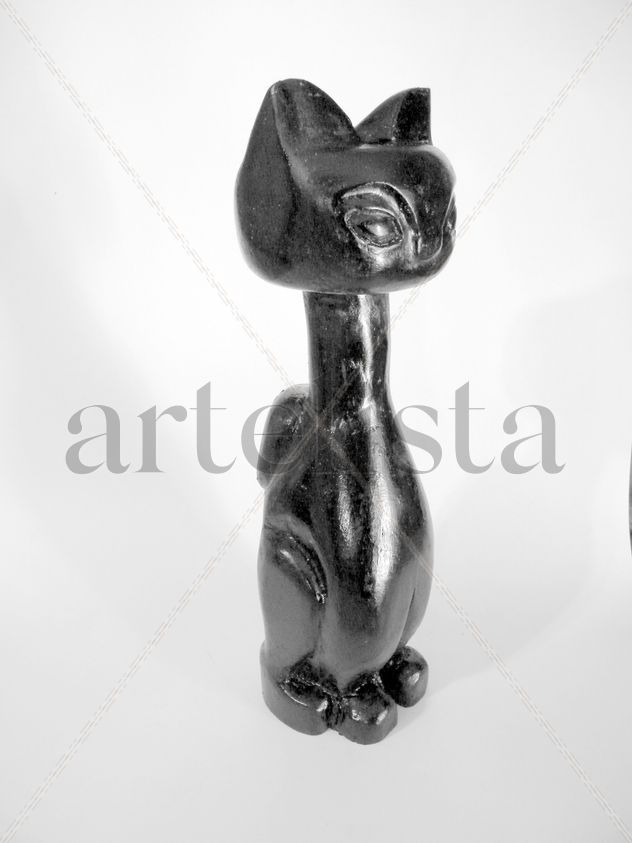 Nunis , la gatita negra