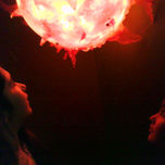 carne humana thumbnail 2
