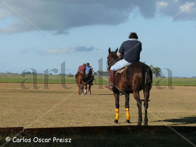 POLO1