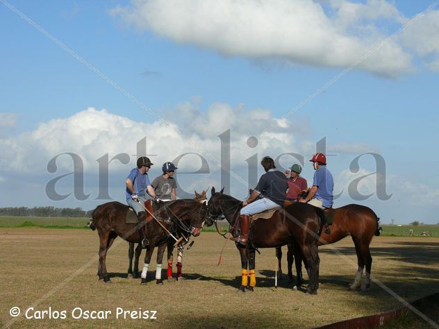 POLO 2