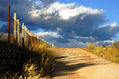 Camino