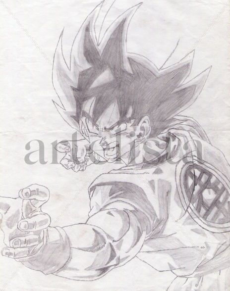 Goku1