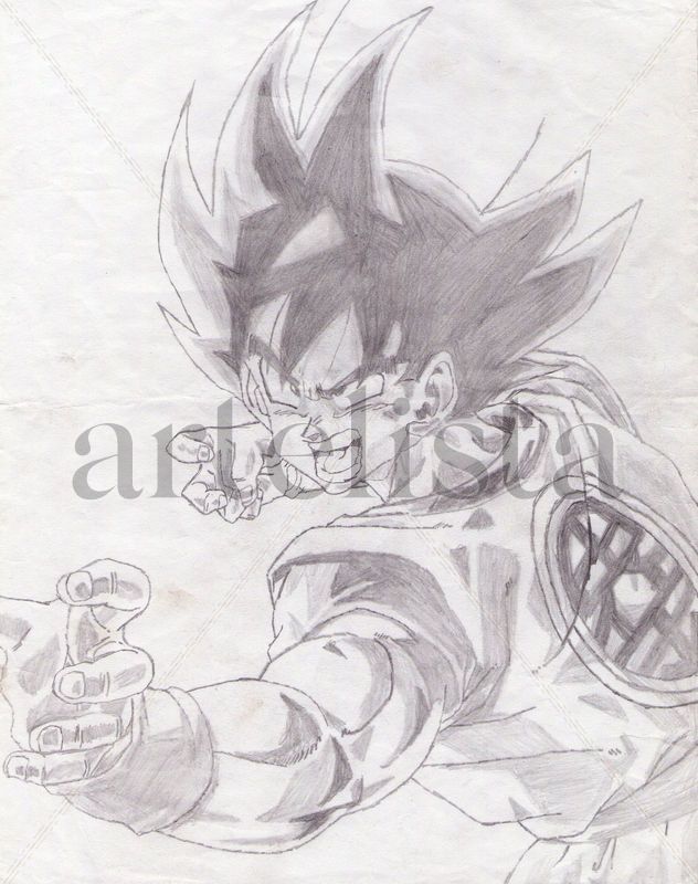 goku1