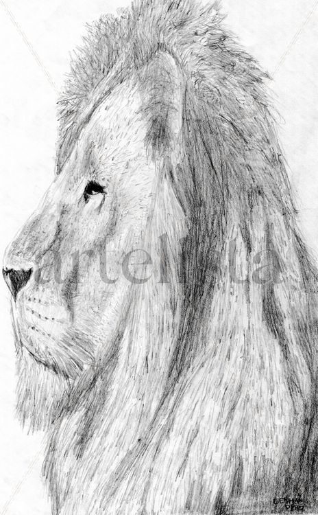 Leon 1