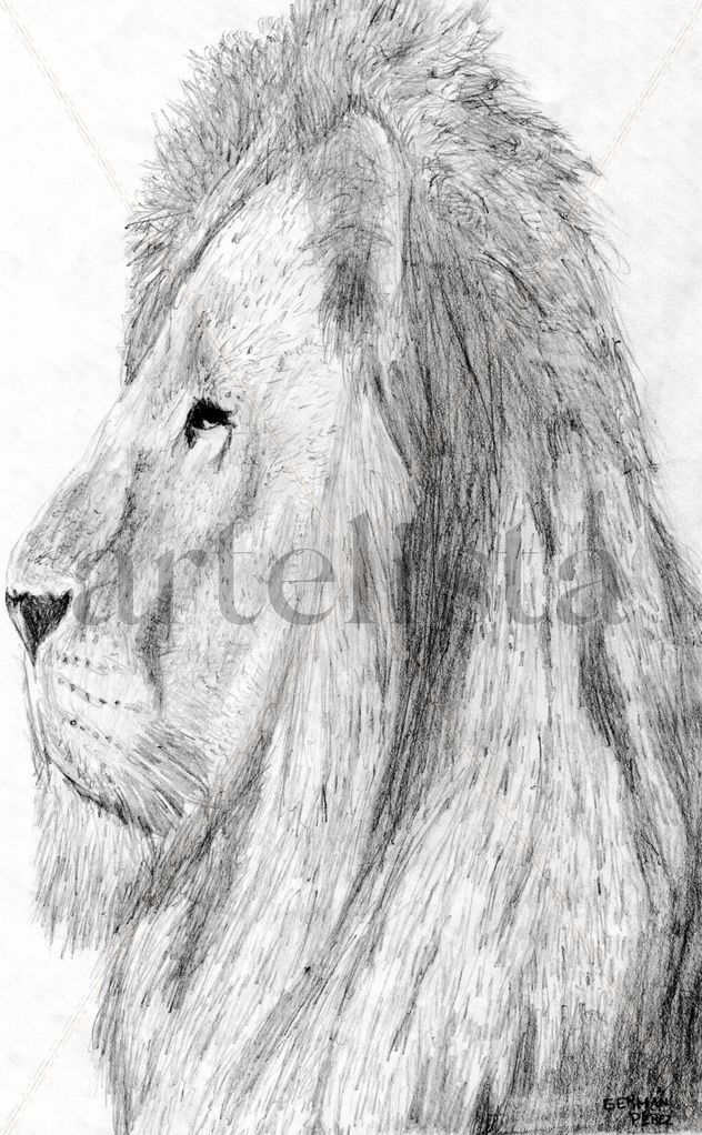 leon 1