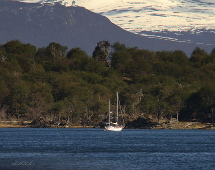 Aguas del Beagle II