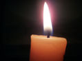 LUZ