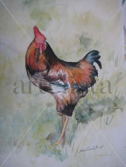 Gallito rojo Watercolour Paper Animals