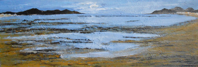 Panorámica playa de Las Canteras