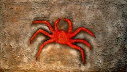 Crab
