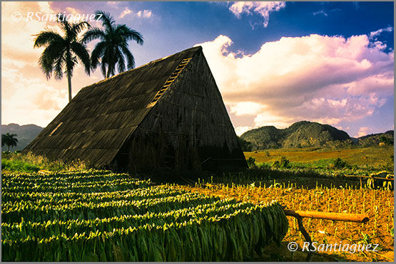 "Casa de Tabaco" Otras temáticas Color (Digital)